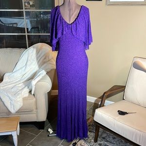 Stunning Shimmering Floor Length Zara Knit Dress